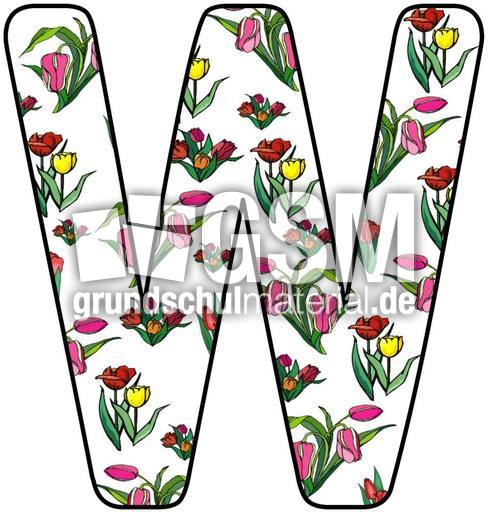 Tulpen-Buchstabe-W.jpg